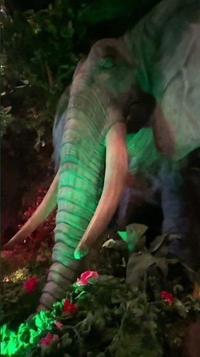 Elephant animatronic At Rain forest cafe