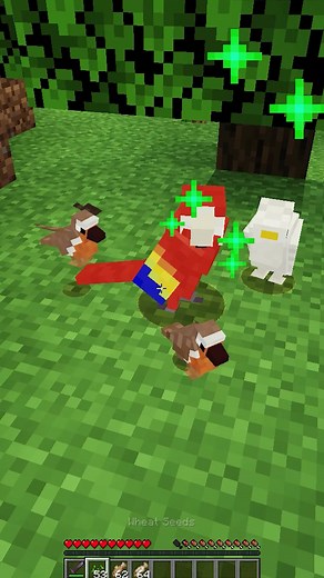 Pájaros en tu MINECRAFT: Mod de Aves Únicas
