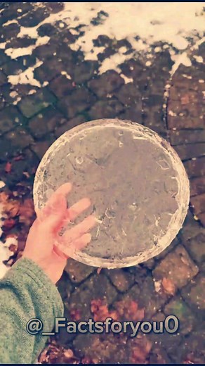 1.1M views · 6K reactions | ⚠️ Interesting facts science can’t explain!⚠️ #facts #randomfacts #LearnOnTikTok #factsyoudidntknow #scienceexperiments | MindfulFacts | Facebook