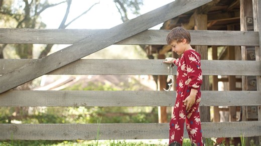 The Incredible Adventures of Jojo - Apple TV