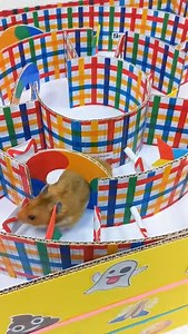 Hamster in the Maze Emoji ep. 2 #Shorts 😆 Homura Ham Pet | Homura Ham