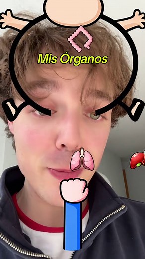 Explorando el Aparato Digestivo y Otros Sistemas
