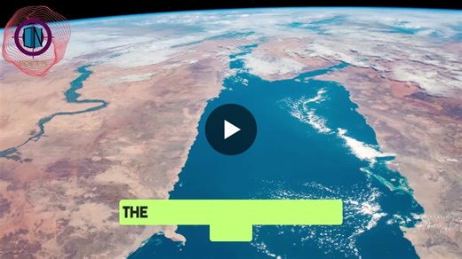 CN Focus: What s the strategic value behind ZIM s management buyout? | Container News