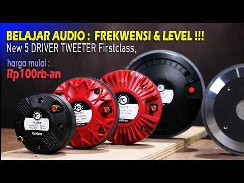 New Product, 5 Firstclass Tweeter Drivers, Cheap, Good!!! Learning Audio.