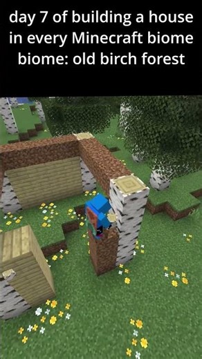 Day 7 of building a house in every Minecraft biome