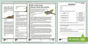 UKS2 Life on the Front: Second World War Diaries Reading Comprehension Activity