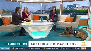 357K views · 5.5K reactions | 'He indicated towards an area of dense undergrowth' A retired police dog named Bear has been honoured with the Thin Blue Paw Foundation's Lifesaver Award after saving a missing man’s life during a walk to celebrate his 12th birthday. | Good Morning Britain | Facebook