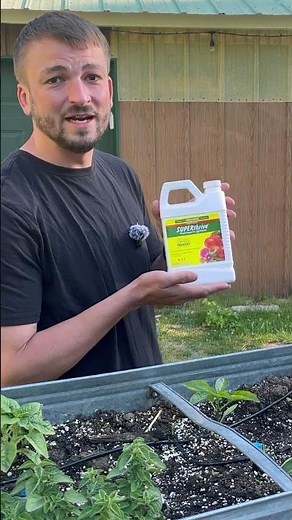 SUPERthrive Plant Food For All Plants - First Time Using #organic