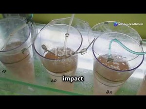 Viral Safety in mAbs Inactivation & Filtration Explained