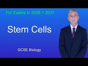 GCSE Biology Revision "Stem Cells"