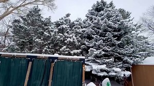 Sudden temperature drop brings Sunday morning snow to Centennial, Colorado, USA