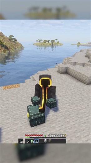 Nobody Uses Ender Chest But They Should...