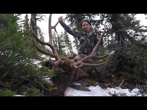 300 Class Oregon Bull Elk DIY Backcountry Hunt -Rags to Records