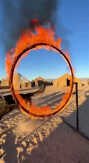 Incredible K9 Unit: Watch These German Shepherds Perform Mind-Blowing Drills! #K9Unit#MilitaryDogs