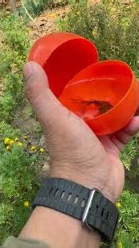 Garden Path Fishing | Discovering Fish in Hidden Irrigation Streams 🌱🐠