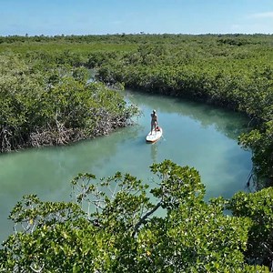 This FREE paddleboarding spot in the Florida Keys is pure paradise. Who's adding this to their bucket list? #floridakeys #travelcouple #outdooradventures #traveltips #adventuretravel #paddleboard | Cody & Kellie
