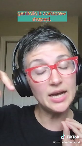 Understanding Spider Reproduction: Male vs. Female Anatomy Explained