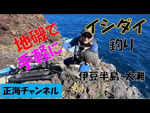 地磯で手軽にイシダイ釣り