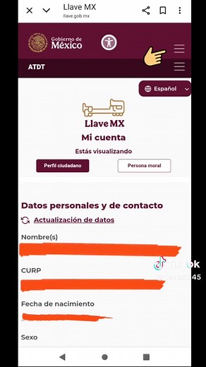 Cómo obtener el acta de nacimiento en línea