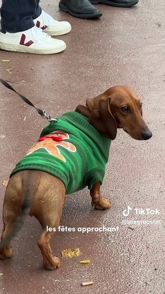 Sausage Walk - Un rituel hebdomadaire incontournable!