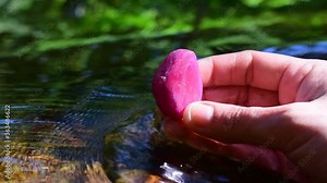 Red ruby Large lump That is rare, expensive For making jewelry