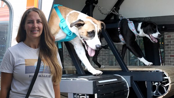 South Milwaukee woman creates mobile dog gym with treadmills