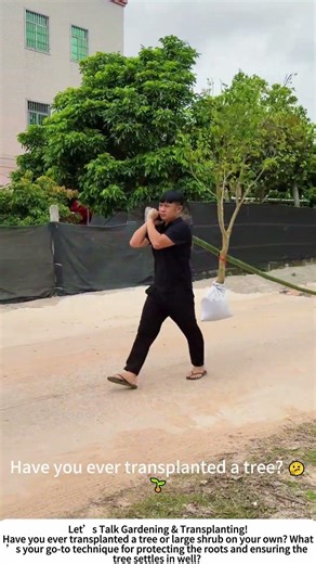 Solo Tree Transplant – One Man, One Tree, Smart Technique! 🌳💪