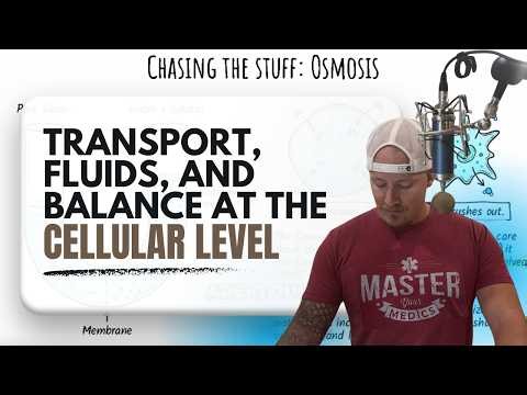 Transport, Fluids, and Balance at the Cellular Level