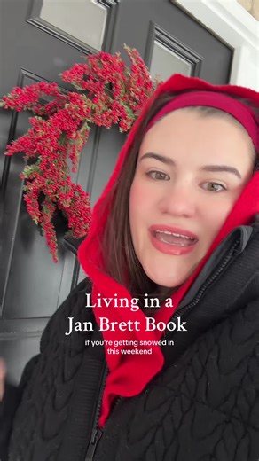 Romanticizing winter one Pinterest board at a time❄️ #janbrett #cozyvibes #cozyhome #newengland