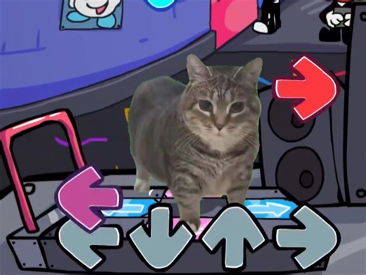 《当kapi变成了oia猫 Beathoiiaio》