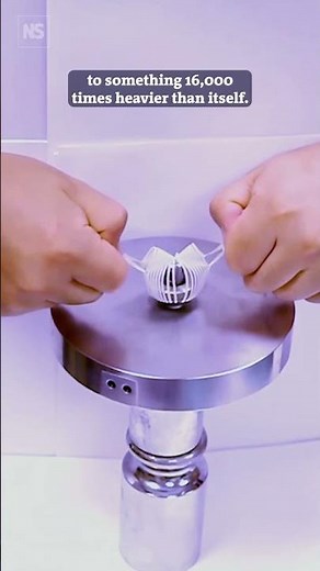 A robotic gripper made of paper lift objects 16000 times its own weight