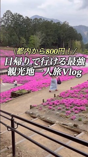 東京800円で行ける絶景観光地&食べ歩きvlog#shorts 【一人旅】【秩父】