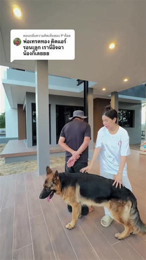 ตอบกลับ @P'ต้อย ลัคกี้มีบ้านจริงไหม ? #ใจ๋สายจี้ #ลัคกี้หมาหน้าดำ