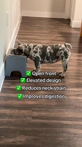 Is mealtime a real struggle for your Frenchie? Say goodbye to neck strain, poor digestion & messy floors! Introducing Fluff Trough - the vet-recommended feeder designed specifically for flat-face dogs. Try it now and see the difference! | Fluff Trough
