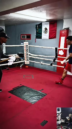 Exploring the Excitement of Boxing Videos