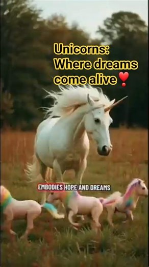 Unicorn Dreams: A Magical Journey❣️😘