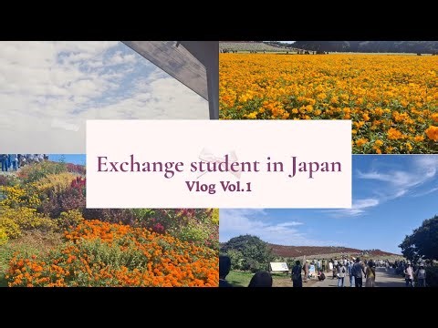 [Japan vlog vol.1] Weekend of an exchange student in Japan