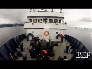 USP - Programa Conferências USP