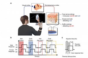This New Haptic VR Glove Provides a Realistic Warm/Cold Feeling #wearablewednesday