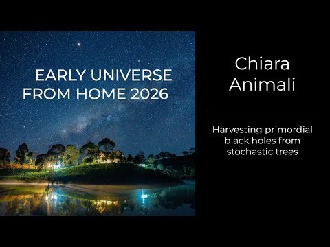 Chiara Animali - Harvesting primordial black holes from stochastic trees