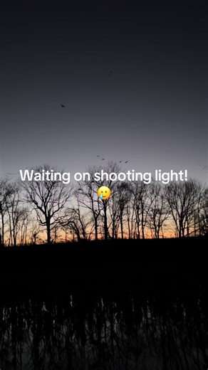 Kentucky Duck Hunting at Sunrise