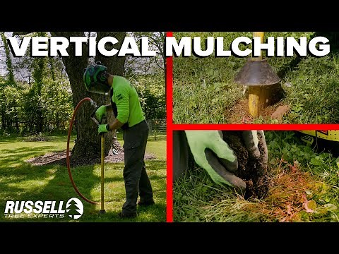 Vertical Mulching with an Air Spade!