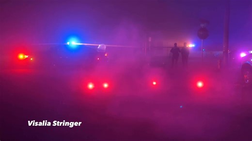 Update from Visalia Police Department HAPPENING OVERNIGHT: VPD Traffic Unit Investigating Fatal Hit-and-Run in Visalia Just after midnight, Visalia Police Department officers responded to the area of Giddings Street and Howard Avenue for a reported hit-and-run involving a vehicle and a pedestrian. When officers arrived on scene, they found a woman lying in the roadway. The driver involved had fled the scene. The woman was transported by ambulance to Kaweah Health, where she was sadly pronounced 