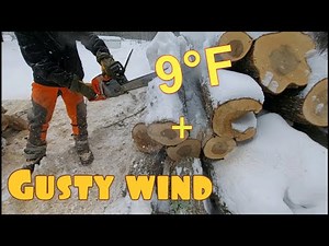 Cutting firewood in extreme winter conditions.