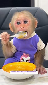 Lala requests that Mom cook food with healthful ingredients!....#monkeyLala #Monkeykaka #Cubismonkey #expore #trending #monkeyBibi #monkeyCUTIS | Monkey LaLa