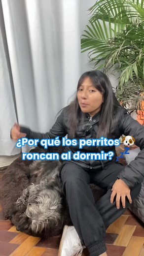 ¿Por qué roncan los perritos al dormir?
