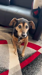 Which Nickname Suits Hercules The Best ?