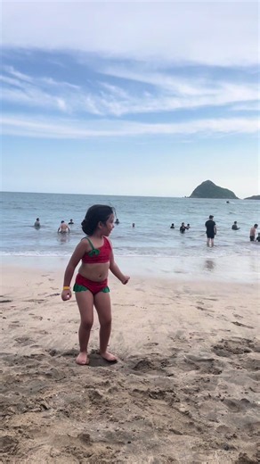 Mazatlán crocodile sighting: snake and boardwalk wildlife moments