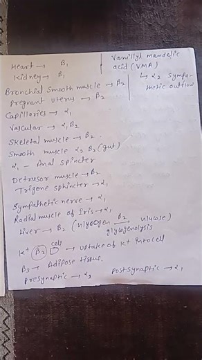 Adrenergic receptors
