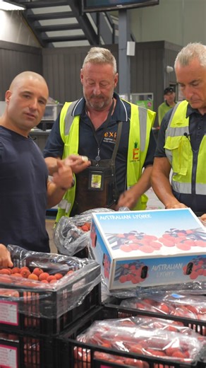 Some Lychee Education from the Lychee King… 👑🍒 And let’s be honest… The King absolutely confused the hell out of the boys today! 🤯😂 Who knew there were THAT many varieties of lychees?! (…apparently HE did.) What you need to know, chef? We source the best. Always. Sweet, juicy, fresh...straight from the experts to your kitchen. And with Christmas around the corner… 👉 Lychees are a MUST for your festive menu! Think cocktails, granitas, salads or a cheeky sorbet — fresh, bright and perfect for
